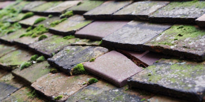 Llanfynydd roof repair costs